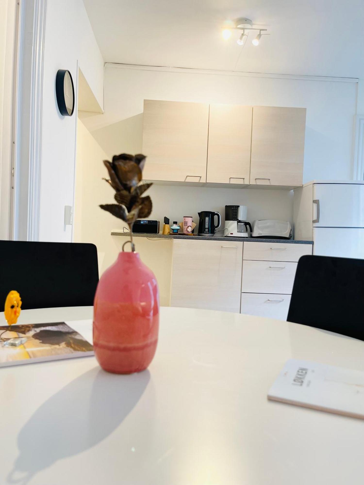 Scandinavian Apartment Hotel -Lunden 2- Central 2 Room Apartment Horsens Eksteriør billede